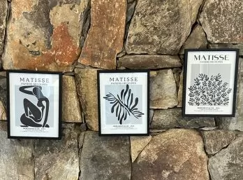 Set x 3 Cuadros Matisse