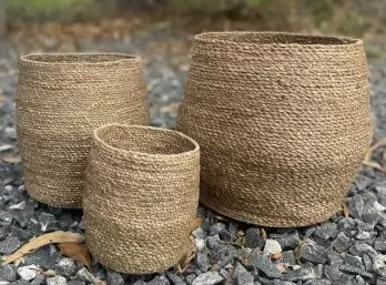 CANASTO Africa mediano